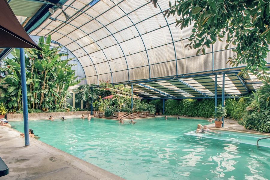 The covered geothermal pool at the Idaho Springs hot springs, ringed with tropical planting